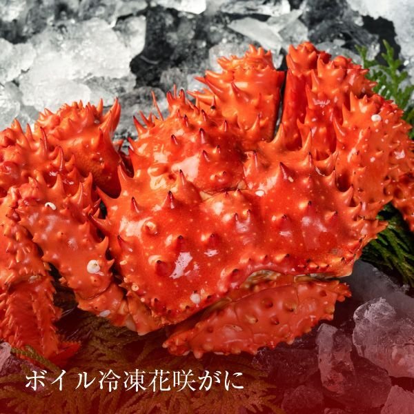 画像1: ボイル冷凍花咲がに (1)