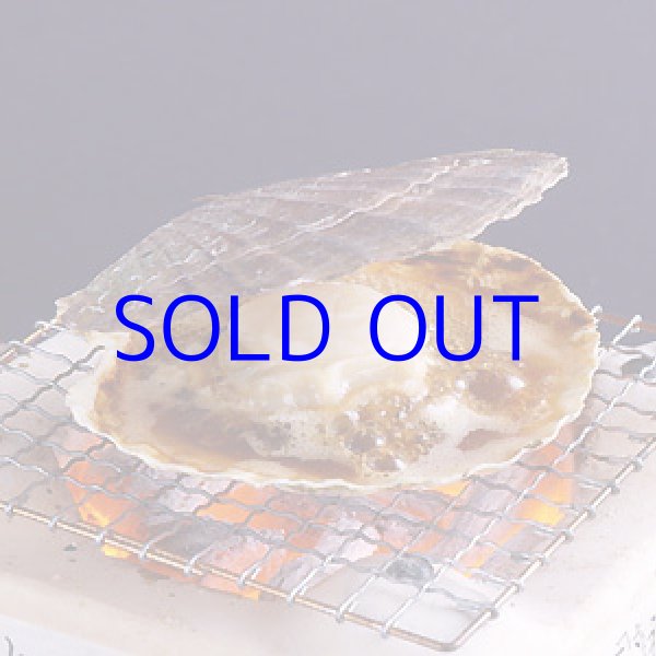 画像2: 北海道産 殻ほたて貝 （5枚1セット） (2)