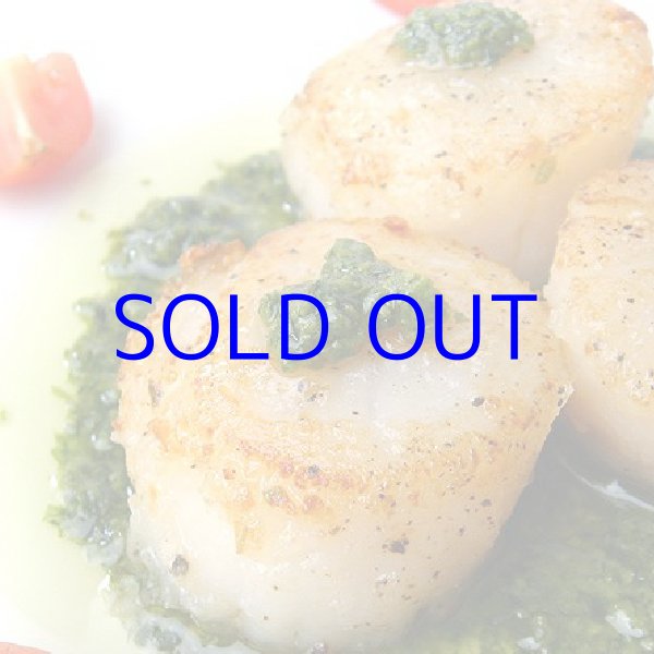 画像3: 北海道産 殻ほたて貝 （5枚1セット） (3)