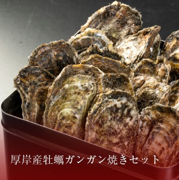 画像1: 厚岸産 殻付牡蠣 ガンガン焼きセット (1)