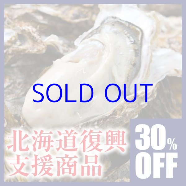 画像1: 【北海道復興支援商品】 30%OFF！！厚岸産殻付牡蠣L20個セット (1)