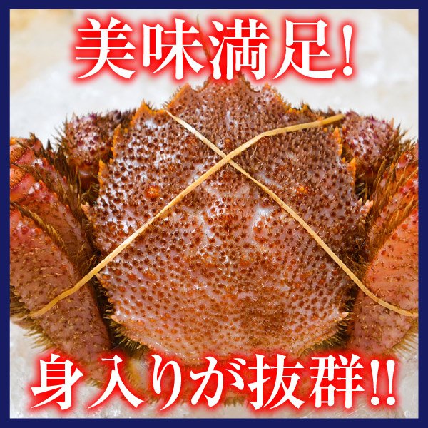 画像1: ボイル冷凍毛がに (1)