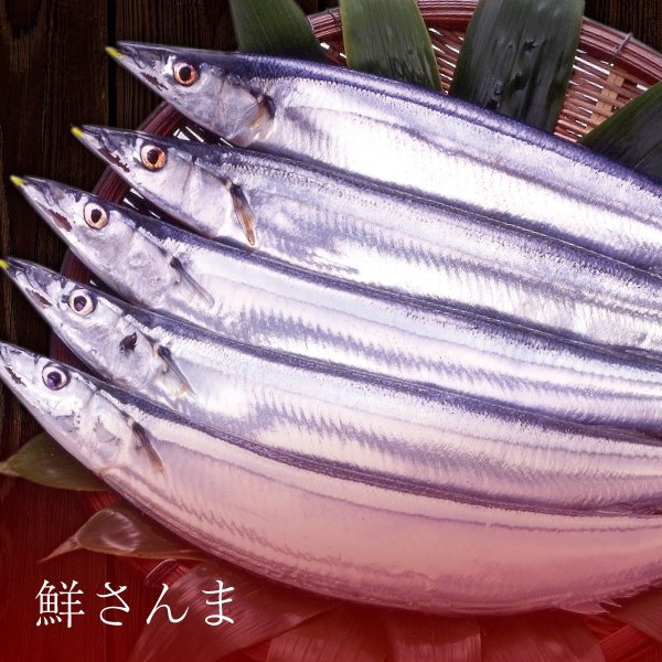 画像1: 鮮さんま 2kg (1)