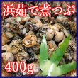 画像1: 浜茹で 煮つぶ 400g（灯台つぶ） (1)