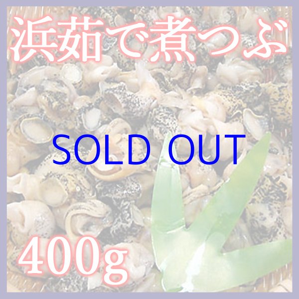 画像1: 浜茹で 煮つぶ 400g（灯台つぶ） (1)