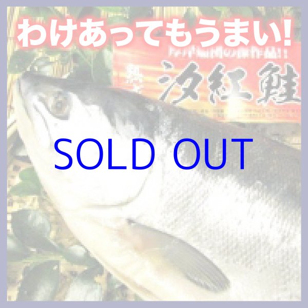 画像1: 【わけあり】汐紅鮭　1.8kg前後 (1)