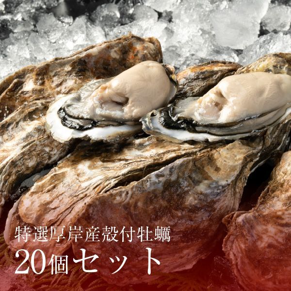 クシロ商店 特選厚岸産殻付牡蠣20個セット