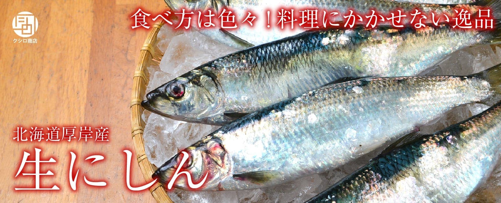 北海道厚岸産 生にしん