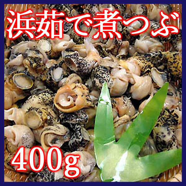 浜茹で 煮つぶ 400g（灯台つぶ）