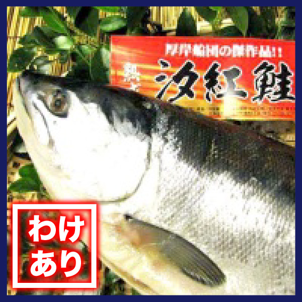 【わけあり】汐紅鮭　2.2kg前後
