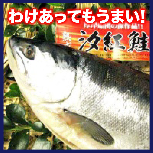 【わけあり】汐紅鮭　1.8kg前後